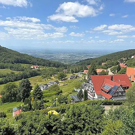 Berghof Gruener Baum 3*